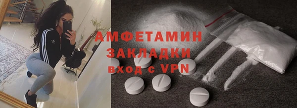индика Нягань