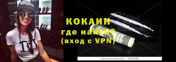 твердый Няндома