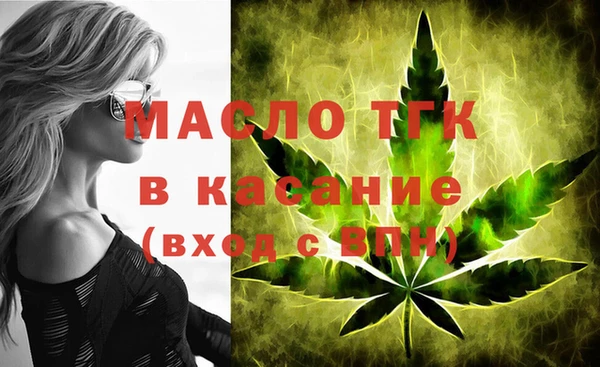 индика Нягань
