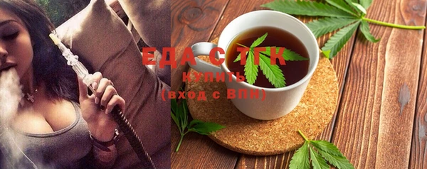 индика Нягань