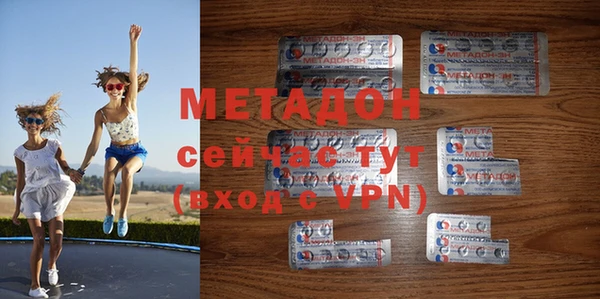 индика Нягань