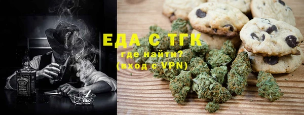 индика Нягань