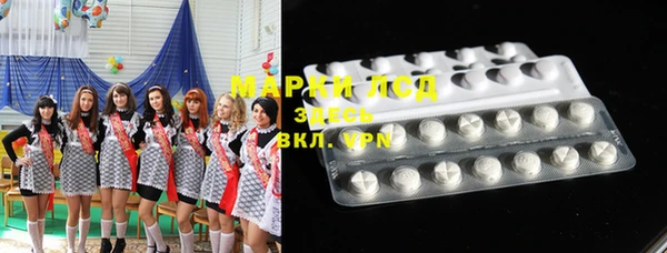 индика Нягань