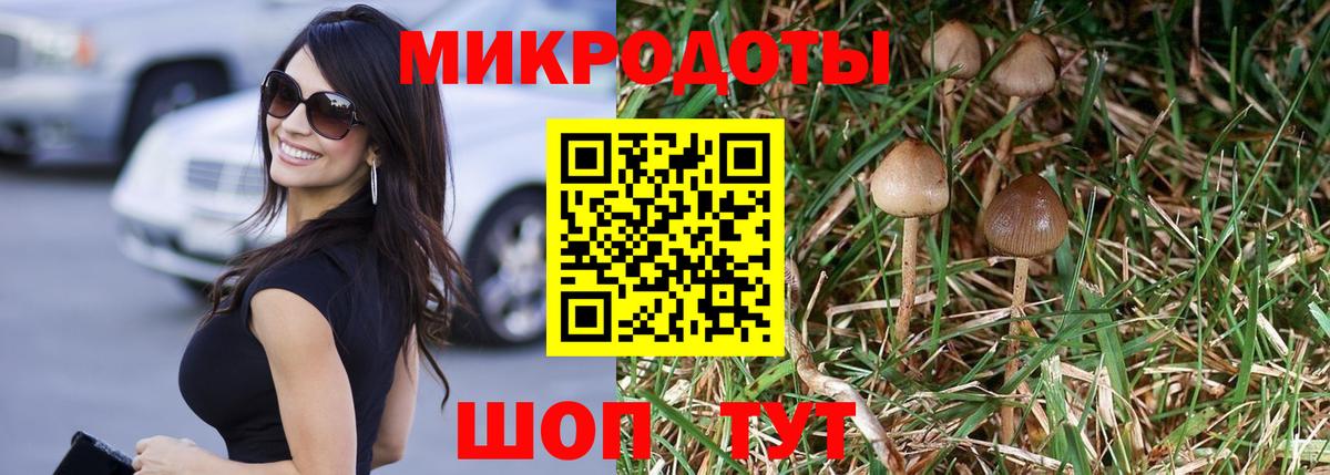 Галлюциногенные грибы мухоморы Тавда