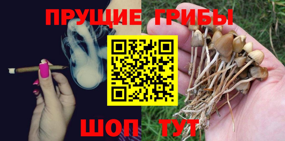 Галлюциногенные грибы мицелий  Вход с VPN  Тавда  Галлюциногенные грибы Magic Shrooms 